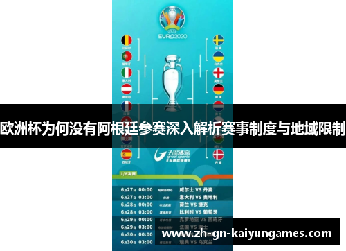 欧洲杯为何没有阿根廷参赛深入解析赛事制度与地域限制