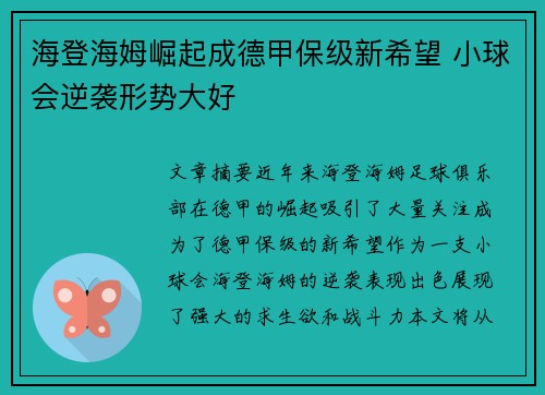 海登海姆崛起成德甲保级新希望 小球会逆袭形势大好